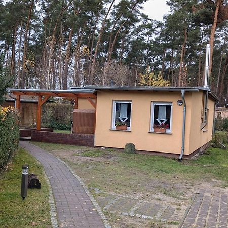 Spreewaldhaeuser Golinski Mit Kamin Am Neuendorfer See Alt Schadow Luaran gambar