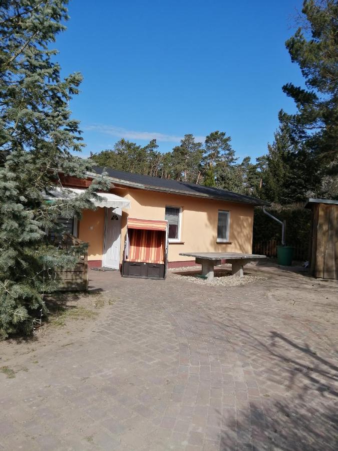 Spreewaldhaeuser Golinski Mit Kamin Am Neuendorfer See Alt Schadow Luaran gambar