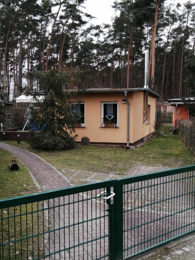 Spreewaldhaeuser Golinski Mit Kamin Am Neuendorfer See Alt Schadow Luaran gambar