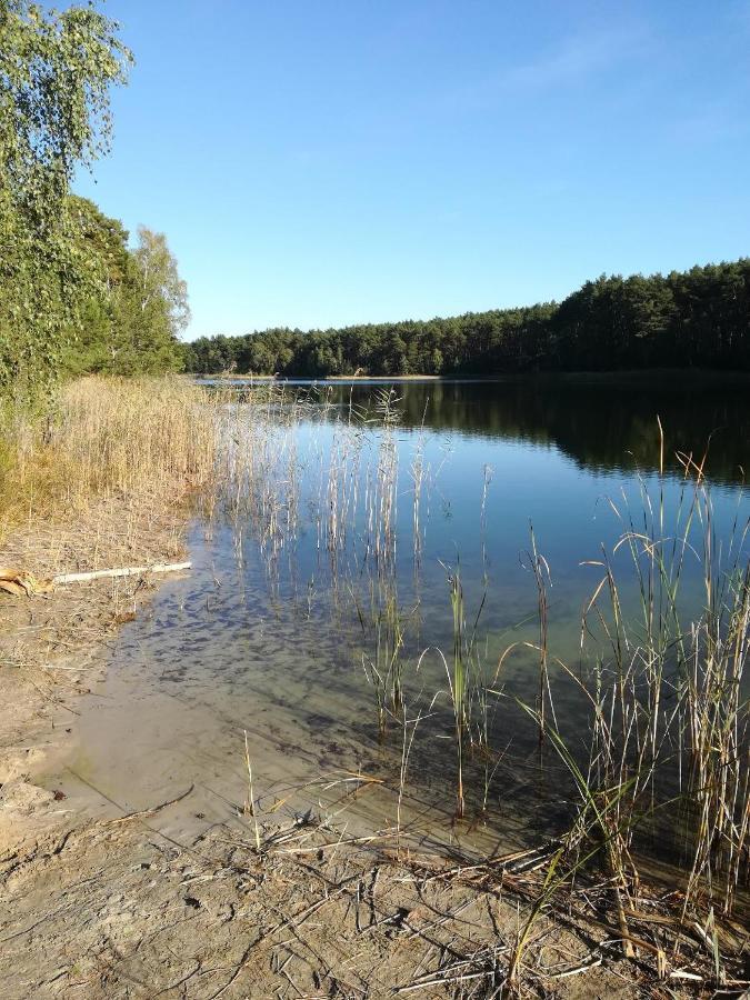 Spreewaldhaeuser Golinski Mit Kamin Am Neuendorfer See Alt Schadow Luaran gambar